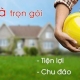 Dịch vụ sửa nhà trọn gói giá rẻ TP.HCM